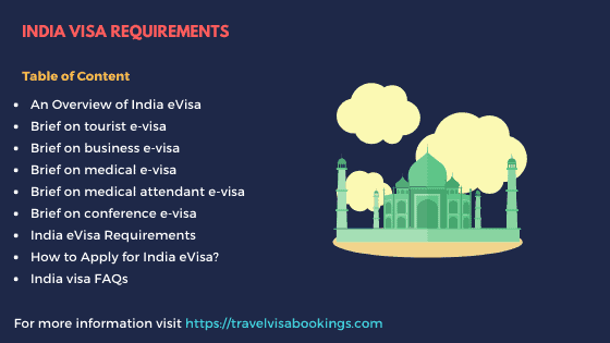 India e-visa requirements