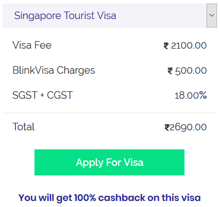 Singapore tourist visa fee